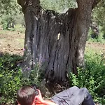 Сasa de vacaciones Casa Della Nonna Caltavuturo
