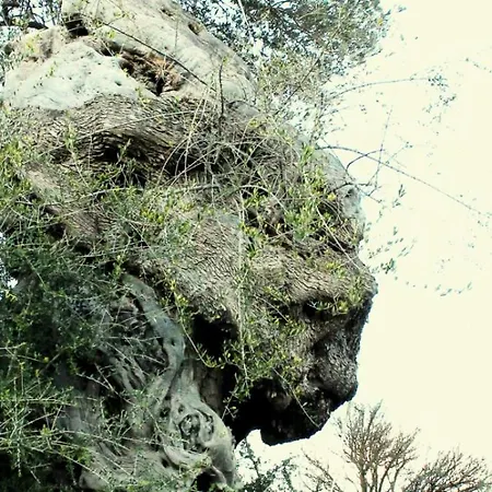 Casa Della Nonna *